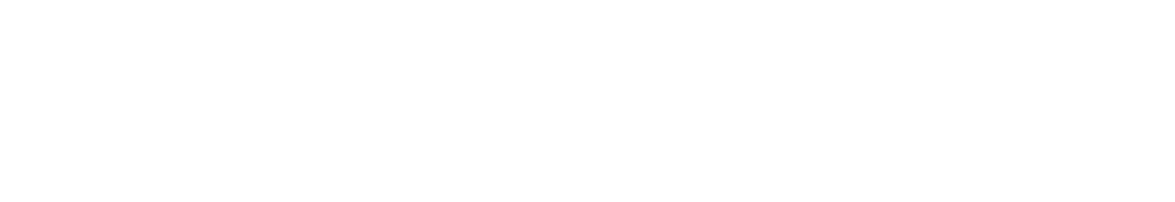 VisioRetail